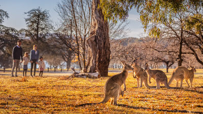 Canberra, Australia