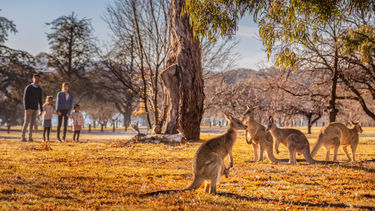 Canberra, Australia