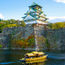 Culture, foodie scene, a great value: Why Japan continues to be popular