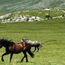 G Adventures is offering new tours for young travelers