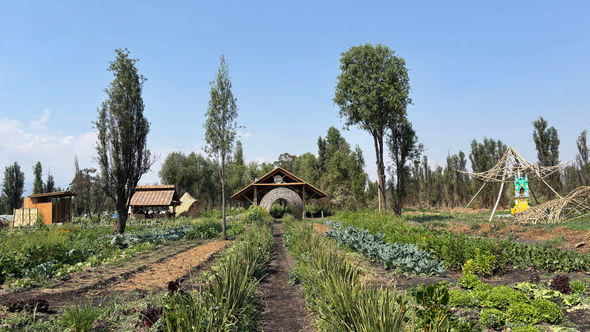 Fuego Vivo is a sustainable agritourism project designed to help increase sustainable farming in Mexico City.