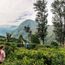 The imagination of children is inspiring Pelorus to create bespoke trips
