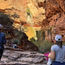 Tour operators wary of national park disruptions after Trump's job cuts